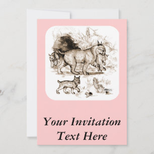 Convites Família Bobcat