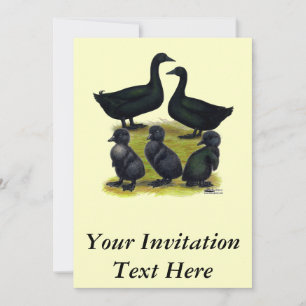 Convites Família Cayuga Duck