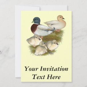 Convites Família Pastel Call Duck