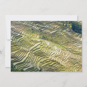 Convites Famosos Yuanyang Rice Terraces - Yunnan, China