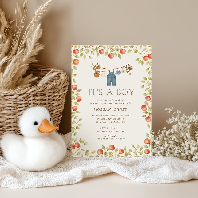 Convites Farmhouse Baby Clothesline Baby Shower (Criador carregado)