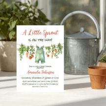 Farmhouse Little Sprout Clothesline Baby Shower