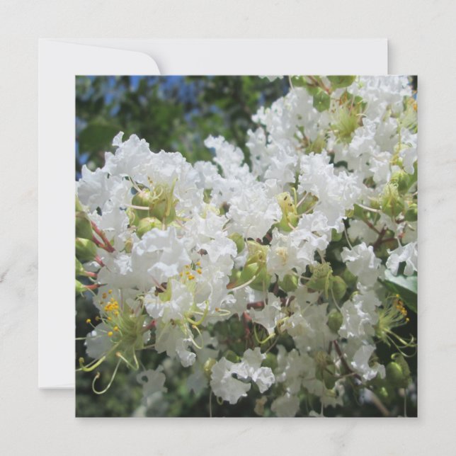 Convites Fechamento da árvore de violação (Frente)