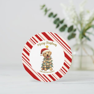 Convites Felicidades simples modernas de natal  Patte de ca