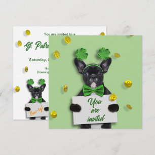 Convites Feliz Dia de São Patrício Trevo Cachorro Bulldog F
