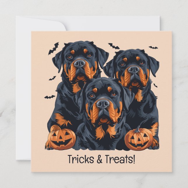 Convites Feliz Halloween Rottweiler Cães Jack O Lanterna (Frente)