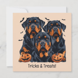 Convites Feliz Halloween Rottweiler Cães Jack O Lanterna
