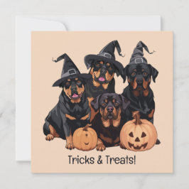 Convites Feliz Halloween Rottweiler Cães Jack O Lanterna