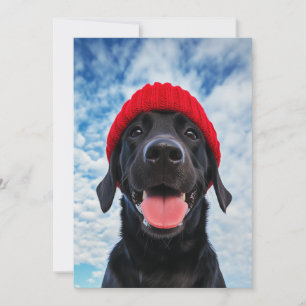 Convites Feliz Labrador em um Red Beanie Sob um Céu Azul