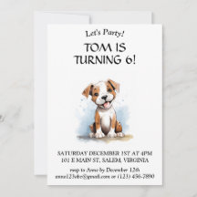 Feliz Mínimo Pitbull Touro Terrier Cão