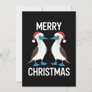 Convites Feliz Natal Ave Sula de Pé Azul Chapéu do Papai No