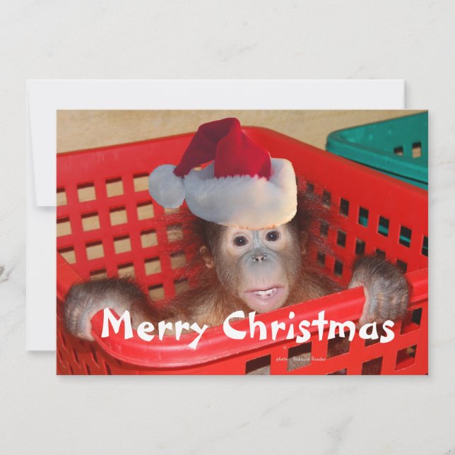 Convites Feliz Natal Crie sua própria mensagem (Frente)