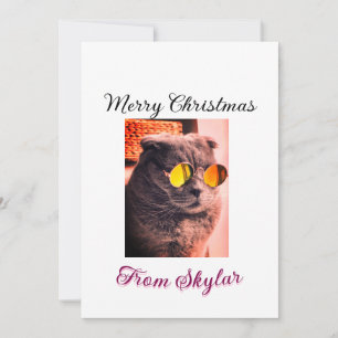 Convites Feliz Natal, gato, cão de estimação, foto de amor
