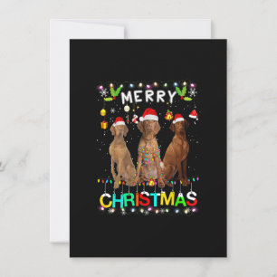 Convites Feliz Natal Vizsla Shirt Santa Hat Lights Xmas