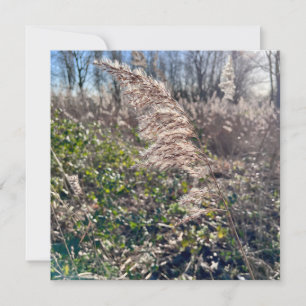 Convites Feliz outono.