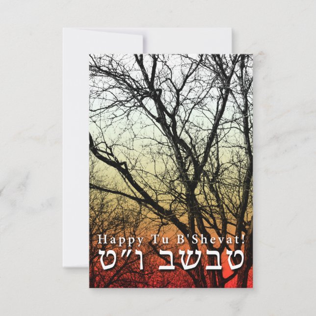 Convites Feliz Tu B’Shevat! : Dia da Árvore Judaica (Frente)