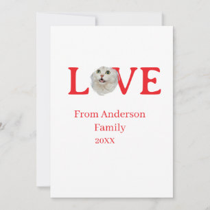 Convites Férias de amor foto de gato animal de estimação no