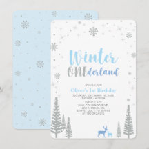 Festa de 1º aniversário do menino Silver Winter on