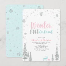 Festa de 1º aniversário Silver Winter Onederland