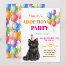 Festa de Adoção Dia da Captura Gato Tricolor Pet
