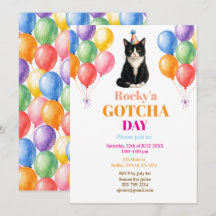 Festa de Adoção do Dia da Captura Gato de Tuxedo P