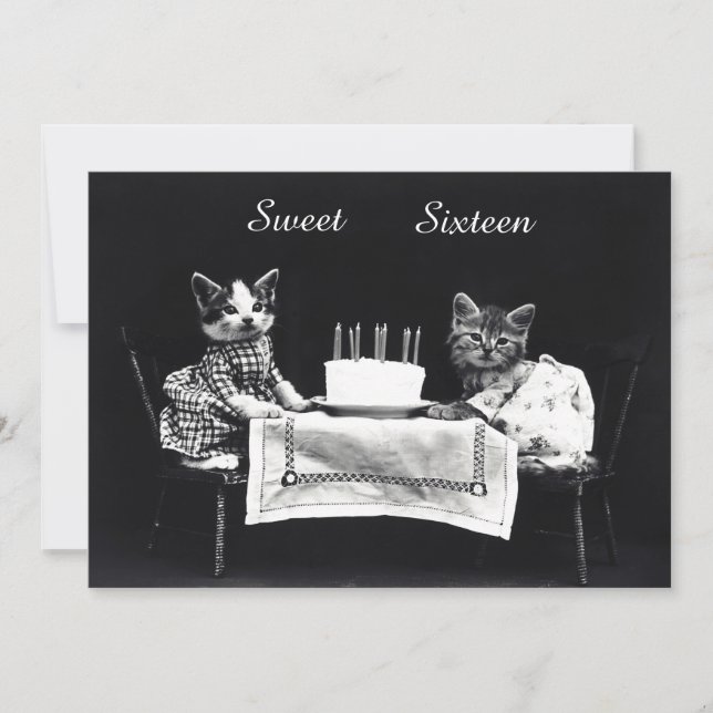 Convites Festa de aniversário bonito do doce dezesseis dos (Frente)