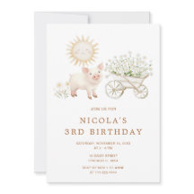 Festa de aniversário Cuja Coca-Roda