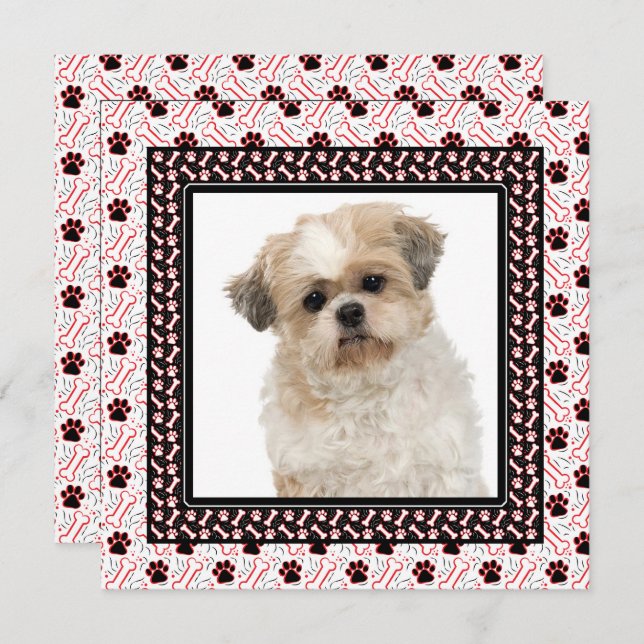 Convites Festa de aniversário de Cachorro ou Cachorro Junto (Frente/Verso)