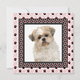 Convites Festa de aniversário de Cachorro ou Cachorro Junto