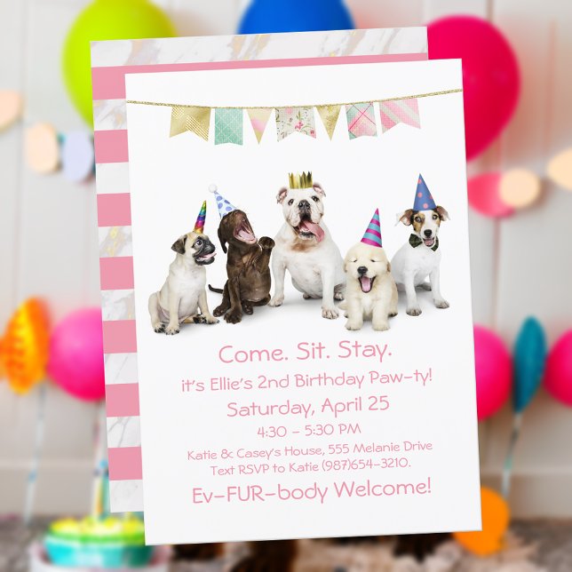 Convites Festa de Aniversário de Cachorro para Cachorrinha (Criador carregado)