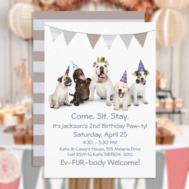 Convites Festa de Aniversário de Cachorro para Menino (Criador carregado)