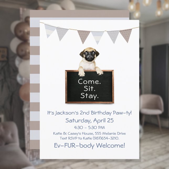 Convites Festa de Aniversário de Cachorro para Pug Macho (Criador carregado)