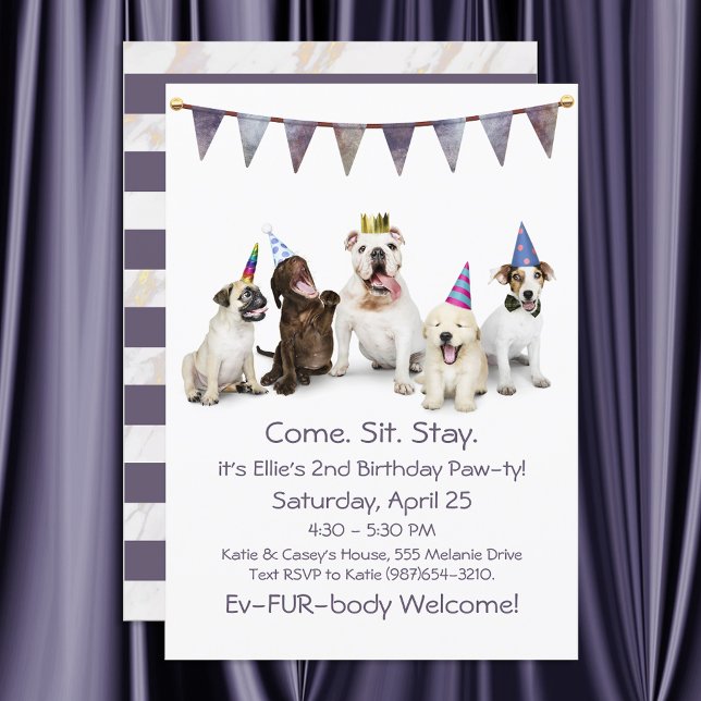 Convites Festa de Aniversário de Cachorro para Qualquer Fil (Criador carregado)