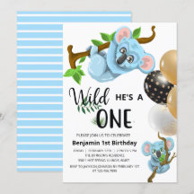 Festa de Aniversário de Um Ano de Menino Urso Koal