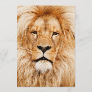 Convites Festa de aniversário do leão