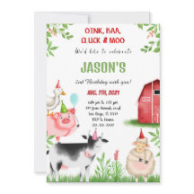 Festa de aniversário fazenda