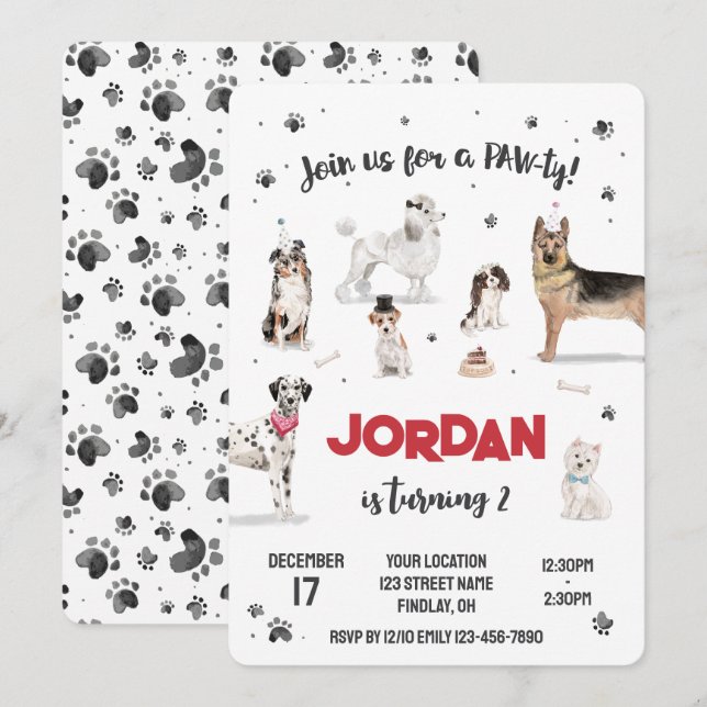 Convites Festa de aniversário Realística de Cães de Água, Q (Frente/Verso)