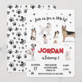 Convites Festa de aniversário Realística de Cães de Água, Q