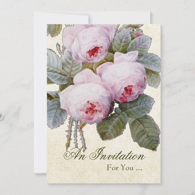 Convites Festa de Aposentadoria Rosa Inglesa Personalizada (Frente)