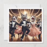 Festa de fantasia, festa de dança de salão, gato