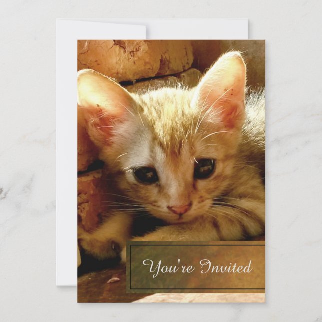 Convites Festa de Gatinha (Frente)