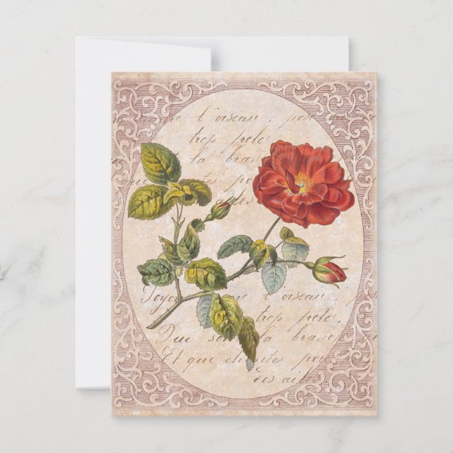 Convites Festa de Jardim Botânico de Aniversário do Rosa de (Frente)