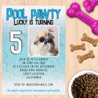Convites Festa de piscina para cachorro com foto personaliz