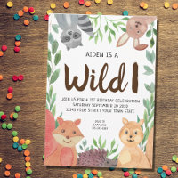 Festa de primeiro aniversario de Animais Selvagens