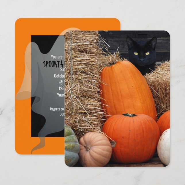 Convites Festa do Dia das Bruxas de Black Cat e Pumpkins (Frente/Verso)