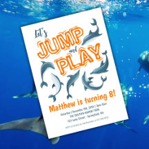 Festa Infantil Parque Dolphin Jump Play Laranja An