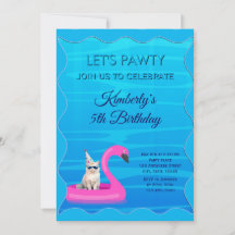 Festa Personalizada da Piscina do Gato