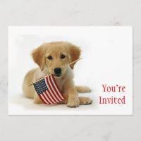 Filhote de cachorro dourado e bandeira americana