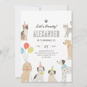Convites Filhote Gatinho Vamos Festejar Aniversário Colorid