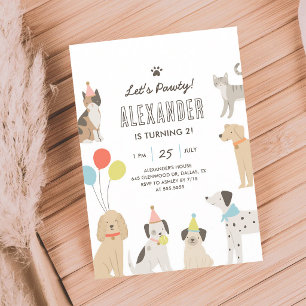 Convites Filhote Gatinho Vamos Festejar Aniversário Colorid